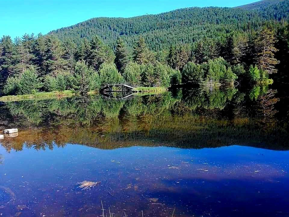 semkovo