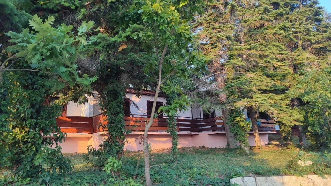 shk2___image_1280_721
