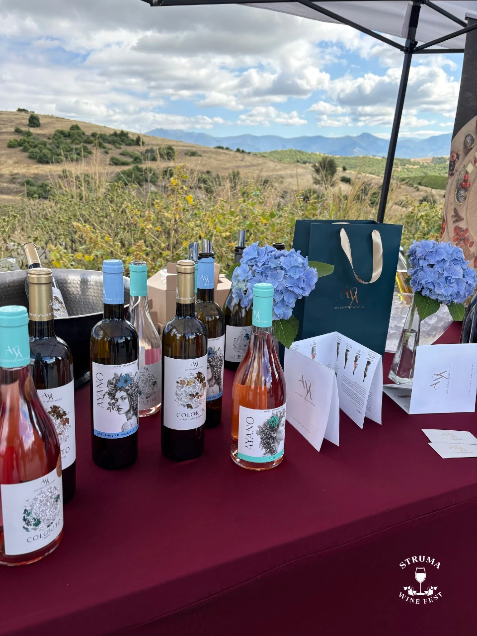 Първо издание на Struma Wine Fest 2025 , Сандански
