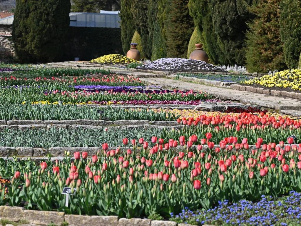 Започна парадът на лалетата в Балчик