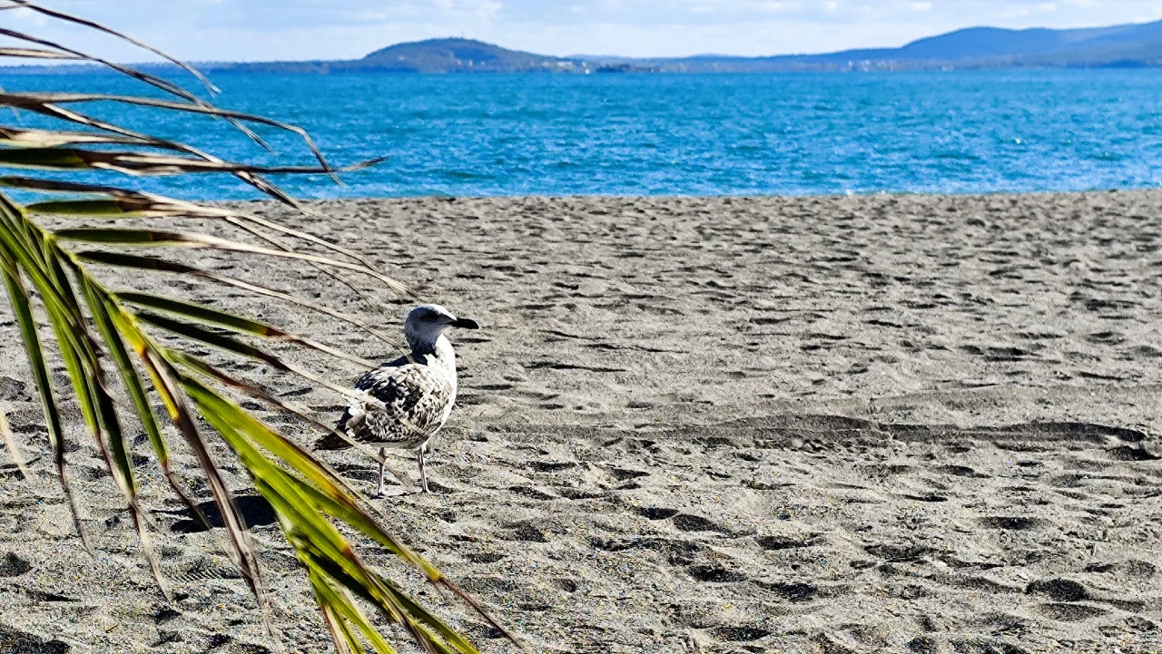 Между  30-40 хотела в Слънчев бряг няма да отворят през лятото, заради очаквания за слаб сезон