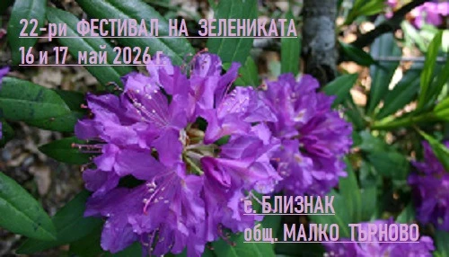 ФЕСТИВАЛ НА ЗЕЛЕНИКАТА В СТРАНДЖА 16 – 17 май, село Близнак, община Малко Търново